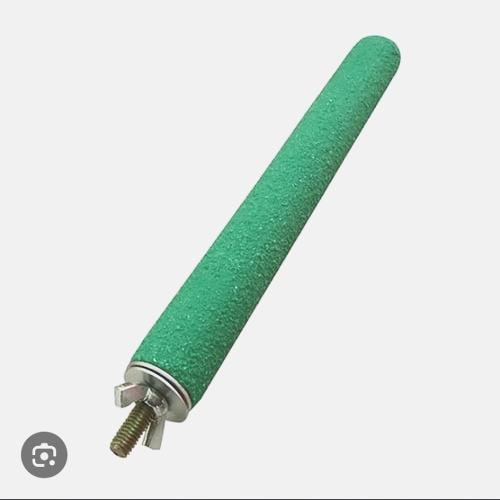 Bird Parrot Cage Perch Rough Surface Stand Toy Molar Wood Stick Platform NIP